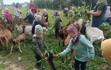 DzienZiemniaka7