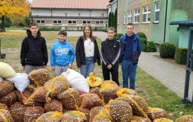 KASZTANOBRANIE zakończone!!! 5