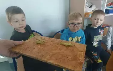 żywalekcjaprzyrody7