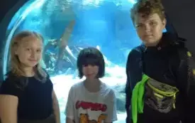 Zwiedzanie akwarium