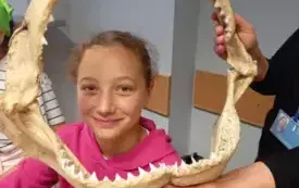 Aleksandra Nowak w szczęce rekina