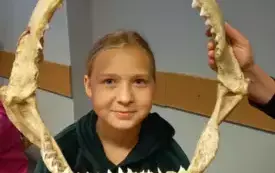 Zosia Scheffler w szczęce rekina