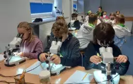 Zajęcia laboratoryjne w akwarium