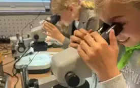 Zajęcia laboratoryjne w akwarium
