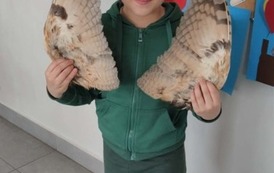 att.wtimn0g-tSAWGFUhENfb90arBo87cvi_IyZVq4Irx5A 2