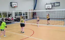 Gra w siatk&oacute;wkę