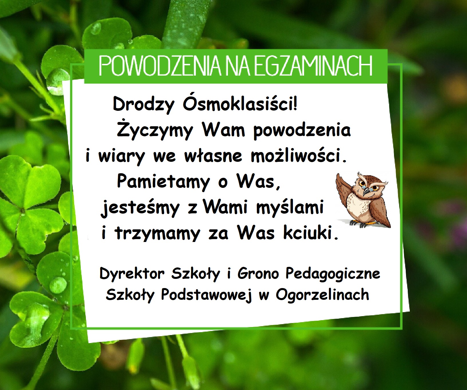 życzenia dla &oacute;smoklasist&oacute;w