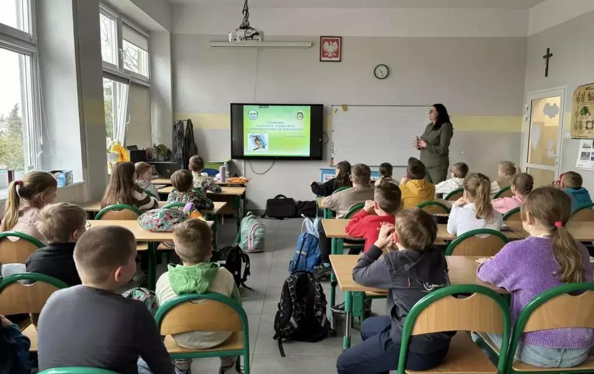 Zdjęcie do Tajemniczy mieszkaniec jezior i rzek - zimorodek 