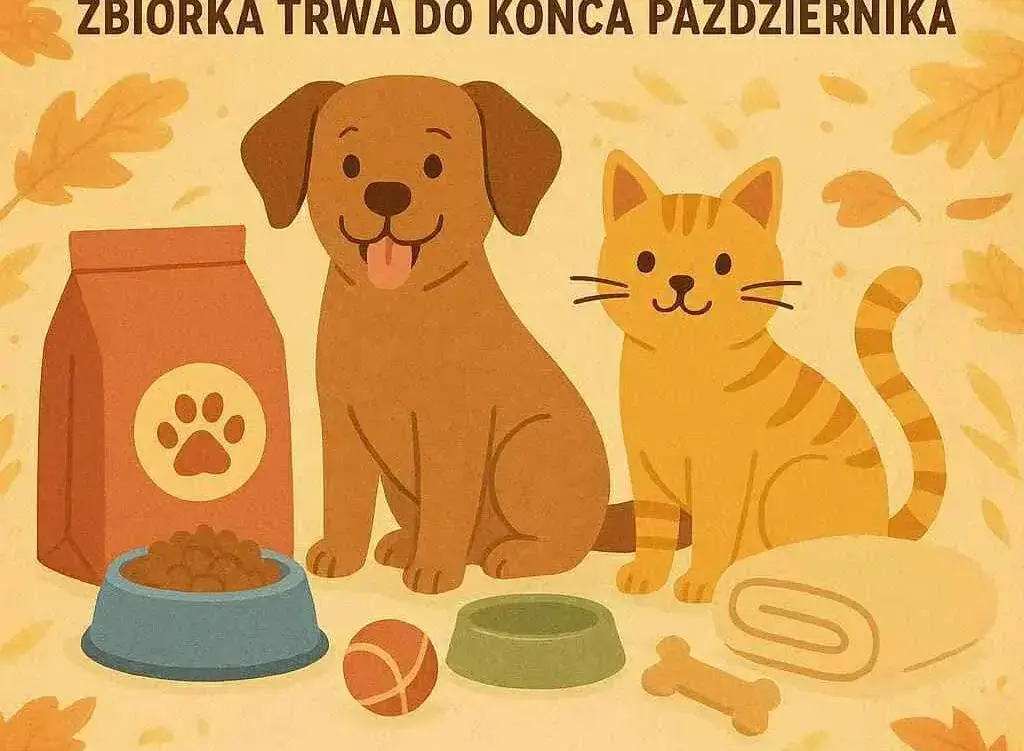 Zdjęcie do Zbi&oacute;rka dla schroniska